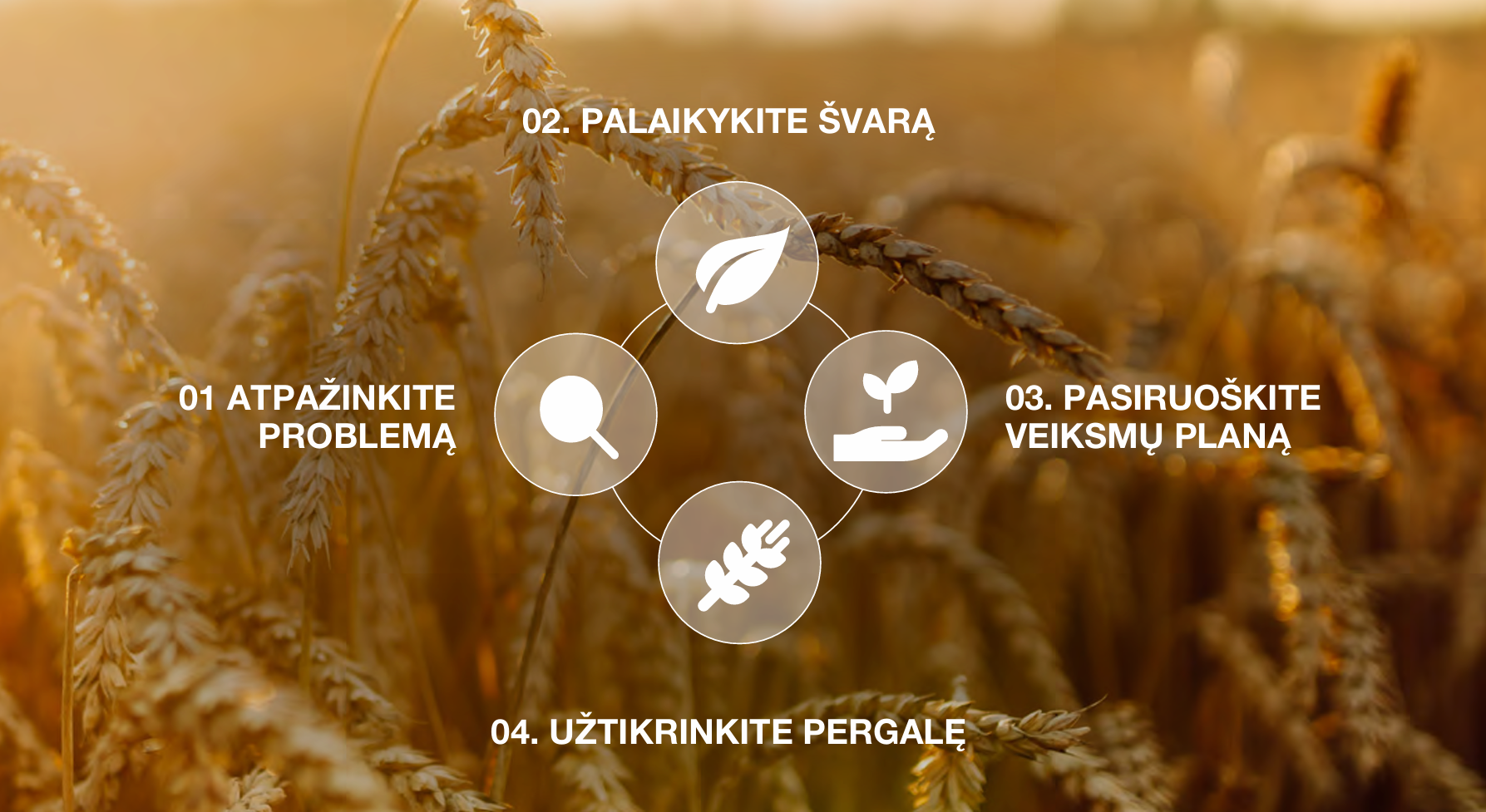 Veiksmų planas